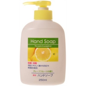 第一薬用ハンドソープ本体250ml 46-249 【240個セット】