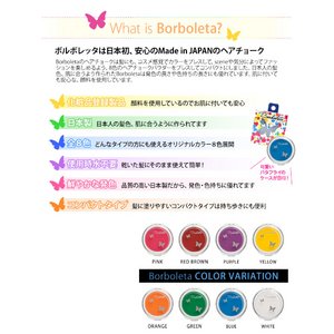 Borboleta（ボルボレッタ）ヘアチョーク　全色　PINK、RED BROWN、ORANGE、YELLOW、PURPLE、GREEN、WHITE、BLUE 8色セット