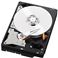 WESTERN DIGITAL 3.5�C���`����HDD 1TB SATA6.0Gb�^s IntelliPower 64MB WD10EFRX-R