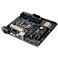 ASUS TeK Intel H170ڃ}U[{[h yM-ATXz H170M-PLUS