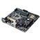 ASUS TeK Intel Z170ڃ}U[{[h yM-ATXz Z170M-PLUS