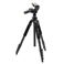 XbN ^Or v 500 LE5 5i P500LE5