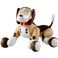 ^Jg~[ Omnibot HelloI Zoomerir[Oj TOMY4904810836506