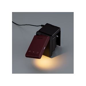 ツインバード工業 LEDベッドライト (ブラウン) LE-H223BR