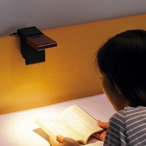 ツインバード工業 LEDベッドライト (ブラウン) LE-H223BR