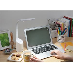 ツインバード工業 LEDデスクライト MUGSTYLE (ホワイト) LE-H422W