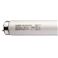 NEC uv TzCg ǃsbhX^[g` 40W` F ƖppbN FLR40SN/M/36 1pbN(25{)