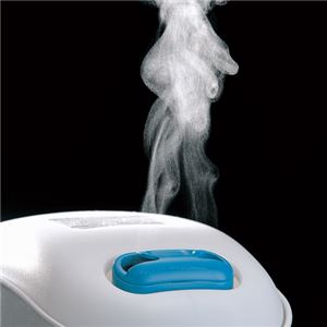 （まとめ） ツインバード スチーム式パーソナル加湿器 4畳用 ホワイト SK-4974W 1台 【&times;2セット】