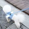 Its DogiCbchbOj }CGWFxXgn[lX^hbgywkz