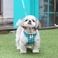 Its DogiCbchbOj ouLfB[n[lX^O[yrz