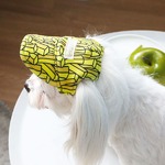 Its Dog（イッツドッグ） ゴーゴーキャップ／ポテト【Ｓ】の詳細ページへ