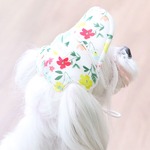 Its Dog（イッツドッグ） ゴーゴーキャップ／ホワイトフラワー【Ｍ】の詳細ページへ