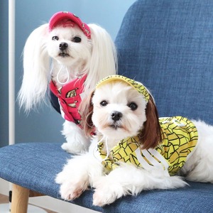 Its Dog（イッツドッグ） ゴーゴーキャップ／ピンクのバナナ【Ｍ】