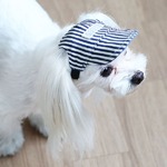 Its Dog（イッツドッグ） ゴーゴーキャップ／リバーシブル【Ｍ】の詳細ページへ