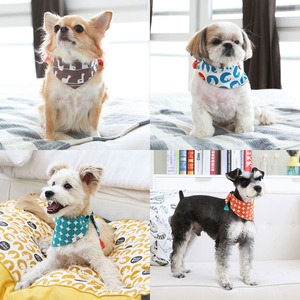Its Dog（イッツドッグ） オシャレな犬用デリシャススカーフ10枚セット【Sサイズ】