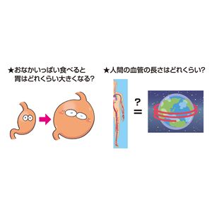 (まとめ)アーテック 人体キューブ＆パズル遊んで学べるからだの 【&times;5セット】