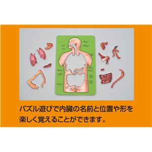 (まとめ)アーテック 人体キューブ＆パズル遊んで学べるからだの 【&times;5セット】