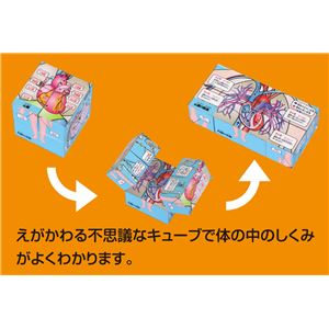 (まとめ)アーテック 人体キューブ＆パズル遊んで学べるからだの 【&times;5セット】