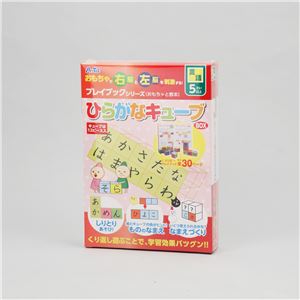 (まとめ)アーテック ひらがなキューブ プレイブック化粧箱入 【&times;10セット】