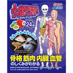 (まとめ)アーテック 人のからだプロジェクター 【&times;15セット】