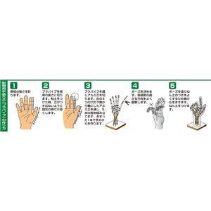 (まとめ)アーテック 彫塑用手造り芯 【&times;15セット】