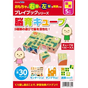 (まとめ)アーテック 脳育キューブ プレイブック 【&times;15セット】