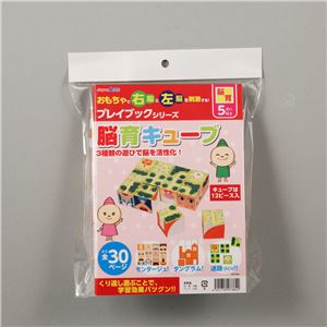 (まとめ)アーテック 脳育キューブ プレイブック 【&times;15セット】