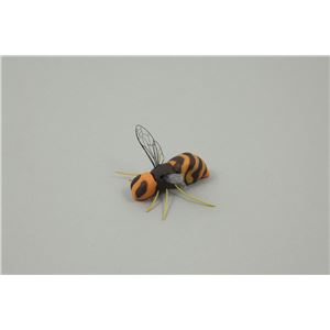 (まとめ)アーテック こん虫のからだつくり 【&times;15セット】