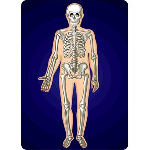 (まとめ)アーテック サイエンスチェンジングカード(人体) 【&times;30セット】