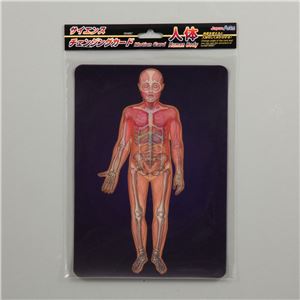 (まとめ)アーテック サイエンスチェンジングカード(人体) 【&times;30セット】