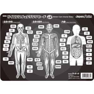 (まとめ)アーテック サイエンスチェンジングカード(人体) 【&times;30セット】