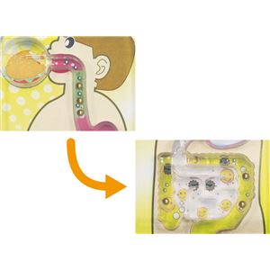 (まとめ)アーテック 食べ物の通り道めいろ 【&times;40セット】