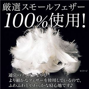 羽根布団5点セット/寝具セット 【ブルー】 掛け布団/敷布団/枕/敷パッド/毛布 オールシーズン対応