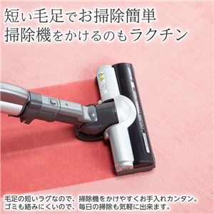 防ダニ・抗菌・防臭フランネルラグマット/絨毯 【レギュラータイプ/約130×185cm ピンク】 厚み8mm 長方形