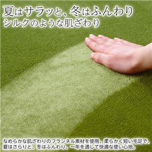 防ダニ・抗菌・防臭フランネルラグマット/絨毯 【レギュラータイプ/約130×185cm ピンク】 厚み8mm 長方形