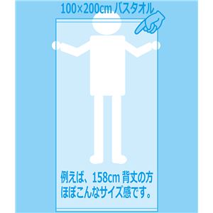業務用レピア織超大判バスタオル 2000匁 100×200cm レピアモカ【3枚セット】