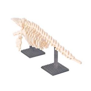 nanoblock（ナノブロック） カワダ NBM-010 シロナガスクジラ骨格モデル
