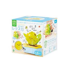 アイアップ パリパリレタス畑