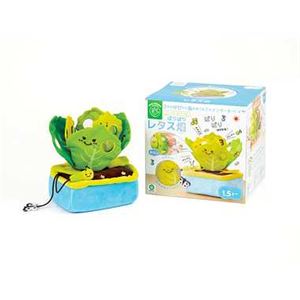 アイアップ パリパリレタス畑