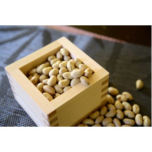 煎り豆(ミヤギシロメ) 無添加 6袋