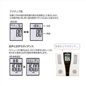 TANITA体組成計インナースキャン 213-06M
