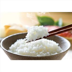圧力IH炊飯ジャー 046-04M