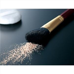 熊野化粧筆 フェイスブラシ 206-02M