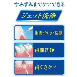 Panasonicジェットウォッシャー 203-03B