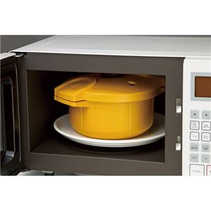 【訳あり・在庫処分】 電子レンジ圧力鍋 極み味 レッド 353-05B