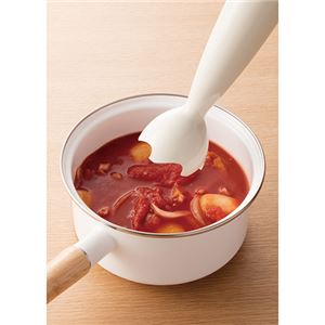 ハンディーブレンダー 035-02B