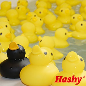 【Ｈａｓｈｙ】あひる風呂　ＨＢ&minus;２７２５　50匹セット