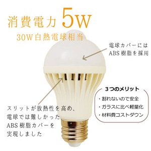 Wセンサー内蔵電球人が来たら自動点灯、勝手に消灯で省エネ 昼白色電球【2個組】