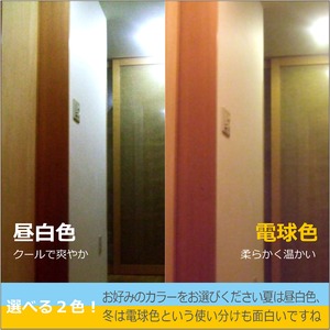 Wセンサー内蔵電球人が来たら自動点灯、勝手に消灯で省エネ 昼白色電球【10個組】