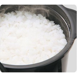 カクセー ちびくろちゃん2合炊き 電子レンジ専用炊飯器 備長炭 T-CHIBIKURO-2